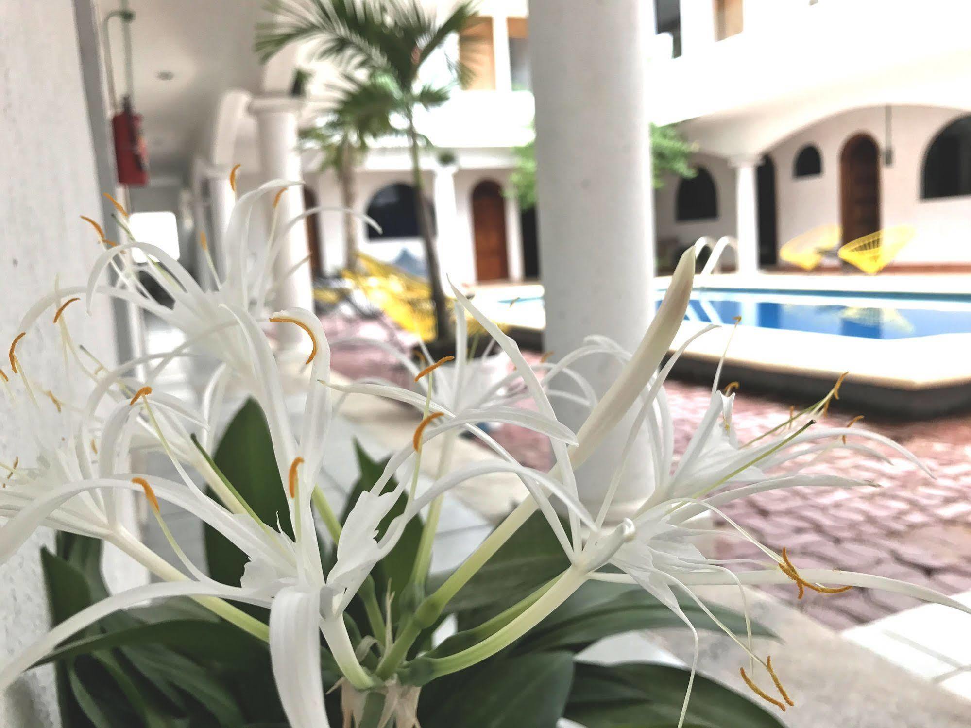Hotel Villas San Ignacio Playa del Carmen Zewnętrze zdjęcie