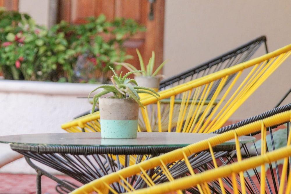 Hotel Villas San Ignacio Playa del Carmen Zewnętrze zdjęcie